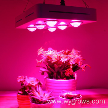 1800W Grow light for herbs hydroponic